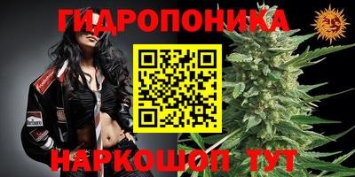 прущие крисы Гай