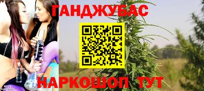 прущие крисы Гай