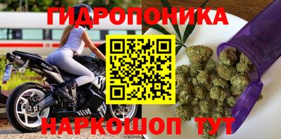 винт Гатчина