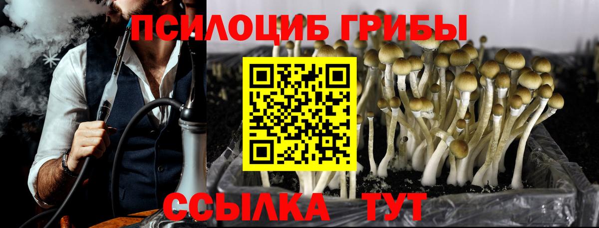 Галлюциногенные грибы GOLDEN TEACHER  как найти закладки  Вход с VPN  Джанкой  Псилоцибиновые грибы Magic Shrooms 