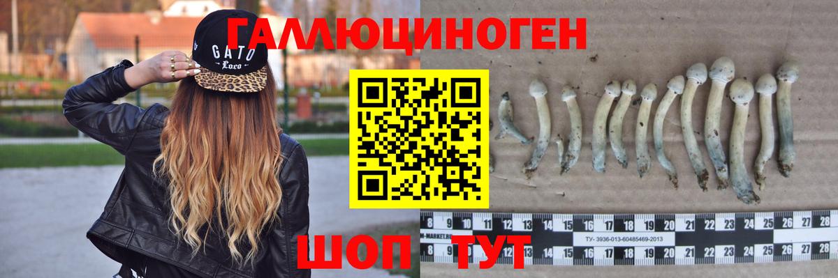 Псилоцибиновые грибы мицелий Джанкой